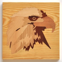 Eagle light background...