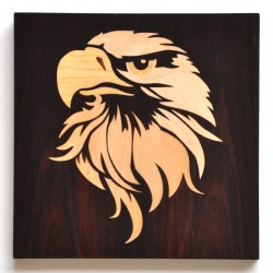 Eagle dark background...